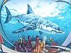Svempas Shark (11).jpg