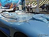 Svempas Shark (12).JPG
