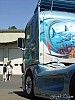 Svempas Shark (7).JPG