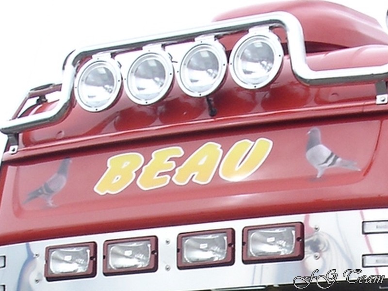 Beau.JPG