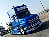 Elytrans (2).JPG