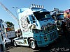 White Tiger (3).JPG