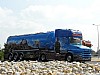 Melmer T (7).JPG