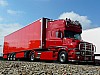 STH T (3).JPG