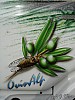 Ovinalp (15).JPG