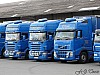 TLM (1).JPG