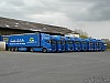 TLM (10).JPG