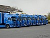 TLM (12).JPG