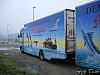 Coques (15).JPG