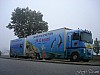 Coques (5).JPG